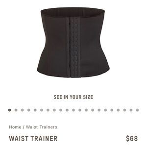 Skims Waist Trainer